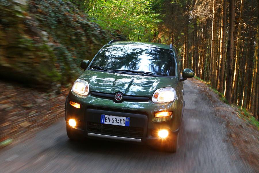  Fiat Panda 4x4 2012 года  (фото 40 из 77)